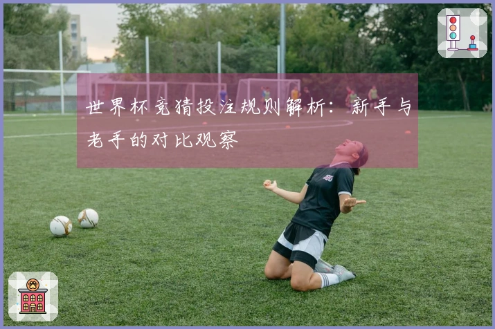 世界杯竞猜投注规则解析：新手与老手的对比观察