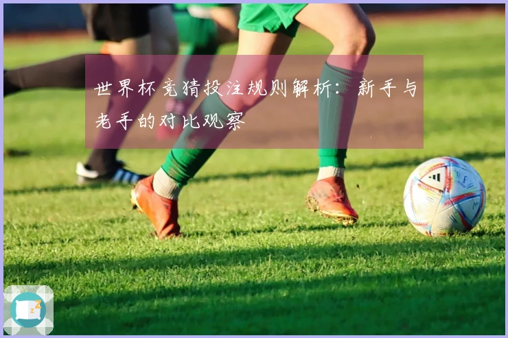 世界杯竞猜投注规则解析：新手与老手的对比观察
