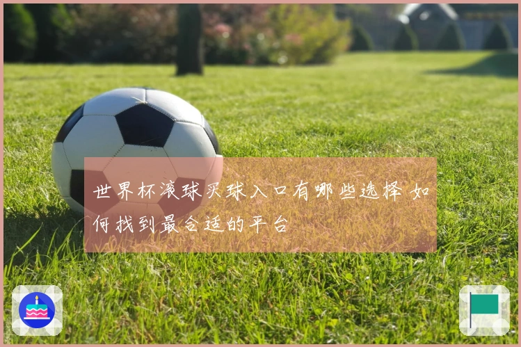 世界杯滚球买球入口有哪些选择 如何找到最合适的平台